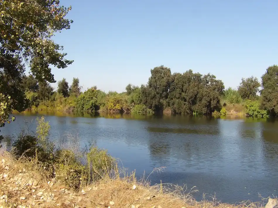 Pest control in Beyer District