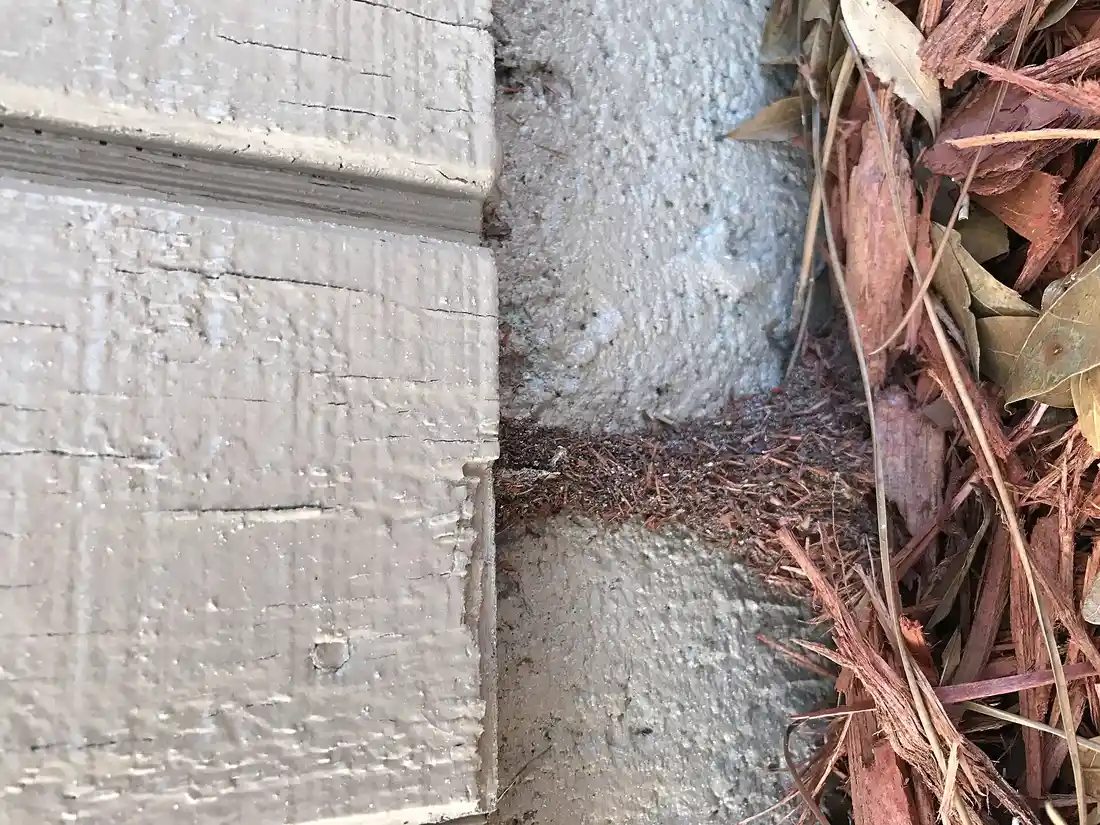 Termite Inspection in Modesto